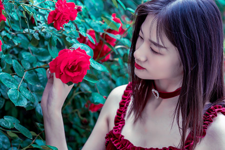 山西中欧（亚）班列实现“双向循环”